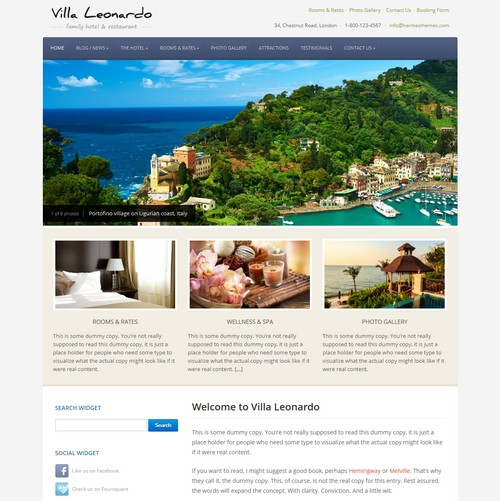 Leonardo WordPress Template