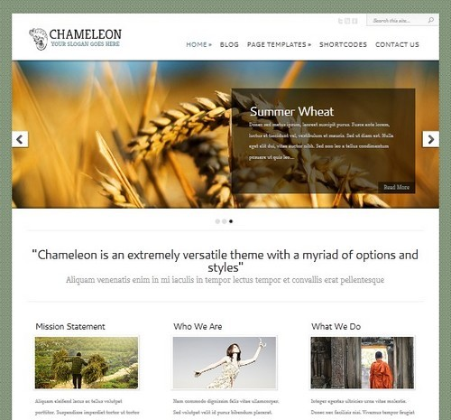 Chameleon Business Template